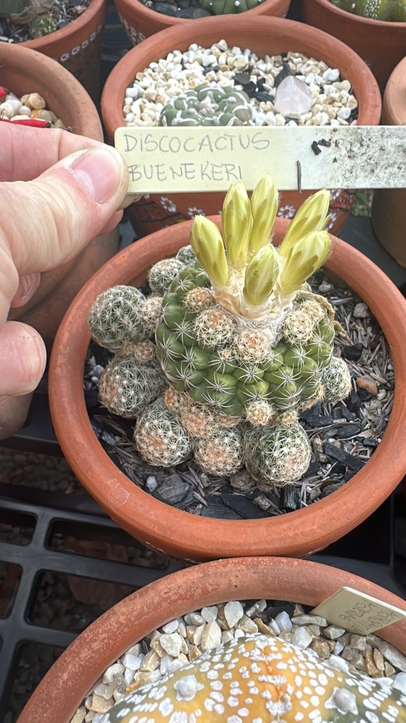 25f64887-7421-4640-af48-e19e896eb993