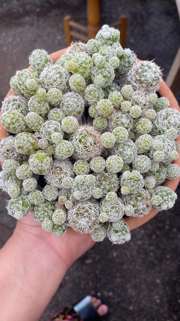 c9c2d6a7-9415-4167-a869-16ecbc130a46