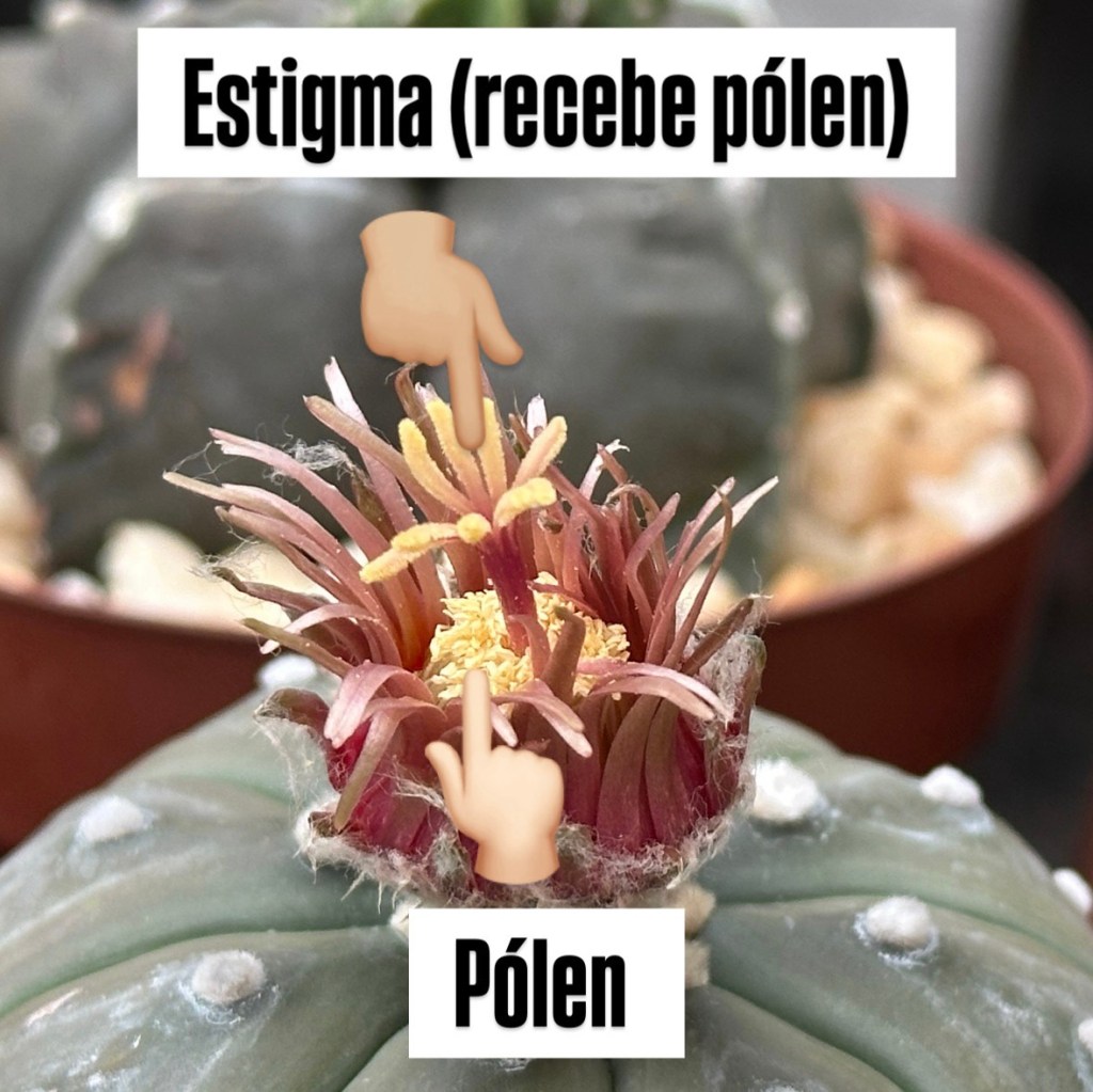 afb7bcda-4b8a-4692-9db3-ba3b66f6b17c